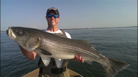 Fishing Sea Bass Long Island Sound